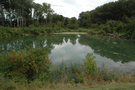 Schwarzes Loch floodplain lake in the Lobau Biosphere Reserve