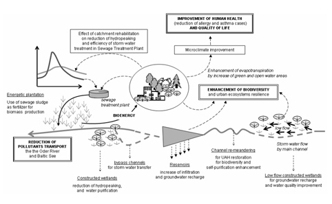 Rehabilitation of a municipal river: an example of possible multidimensional benefits for the urban environment and the society