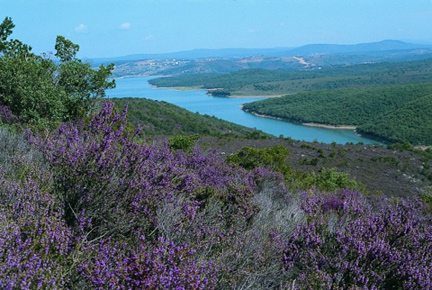 Omerli Dam and neighbouring heathlands (DHKD Archives).