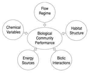 Factors influencing biological community performance (Yoder, 1989)